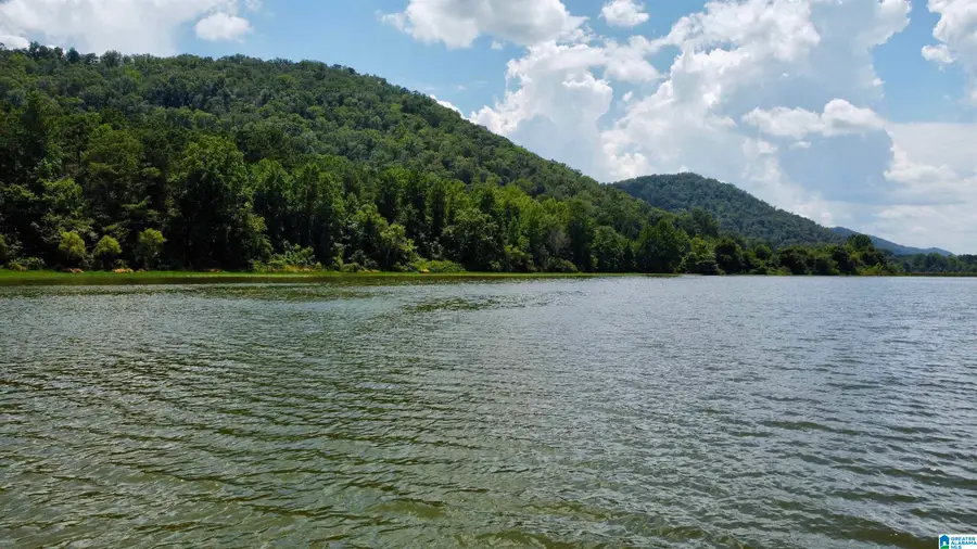 148 acres COUNTY ROAD 21, Ashville, AL 35953 - Image #3