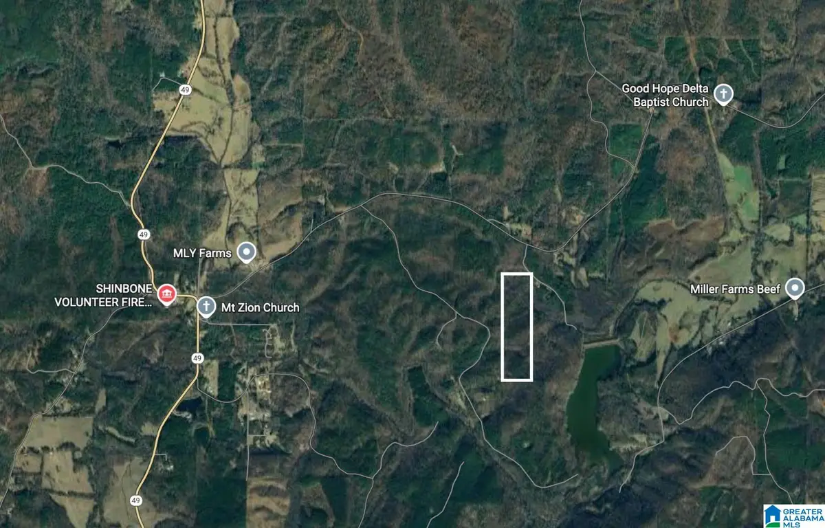 0 CRUTCHFIELD DRIVE, Delta, AL 36258 - Image #1