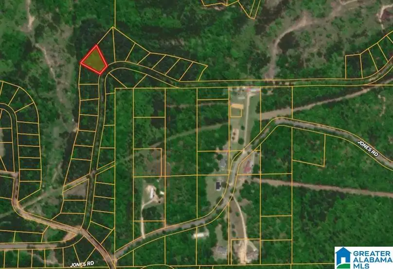 0 JONES ROAD, Alpine, AL 35014 - Image #1