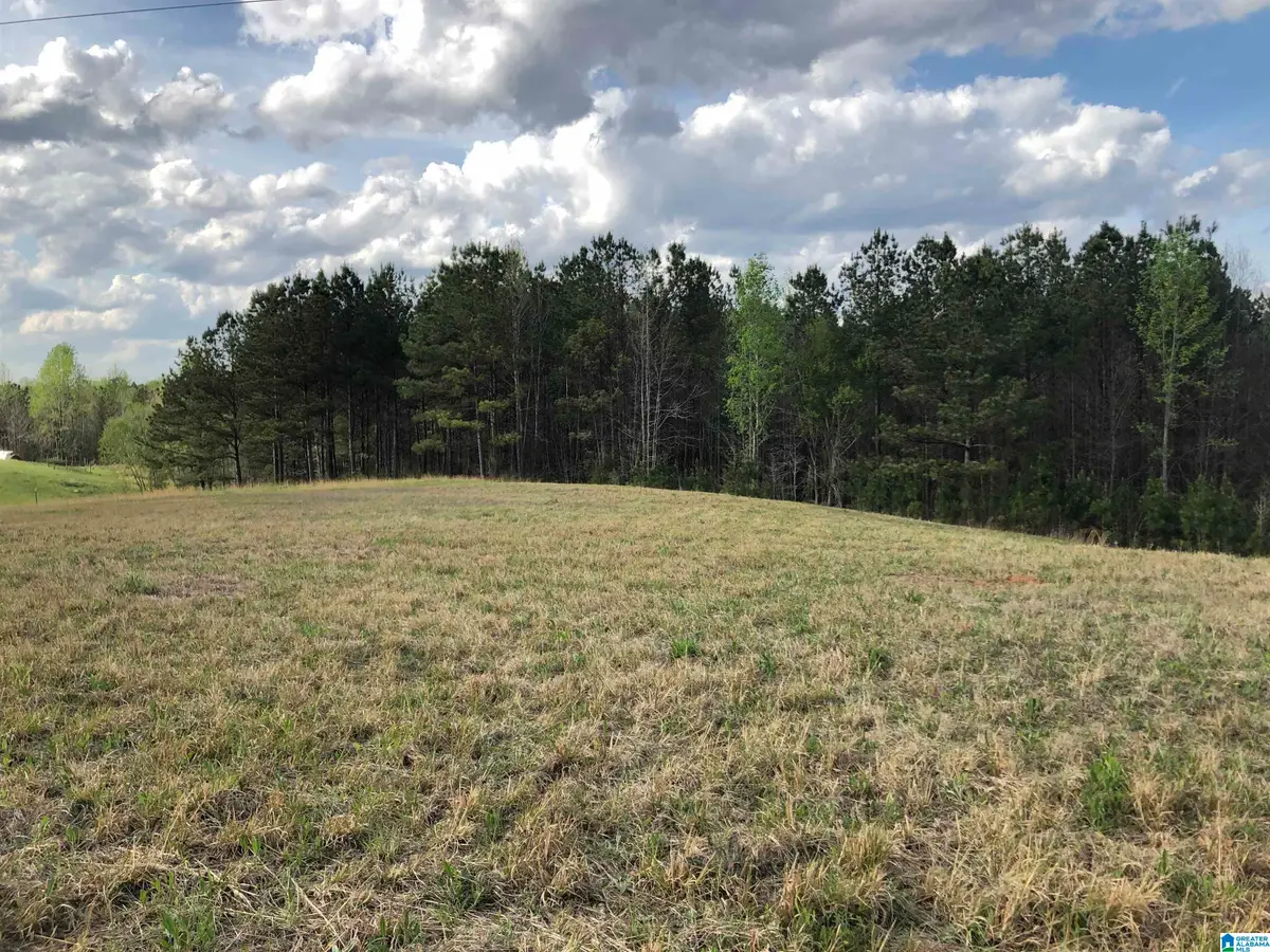 000 COUNTY ROAD 835, Clanton, AL 35046 - Image #1