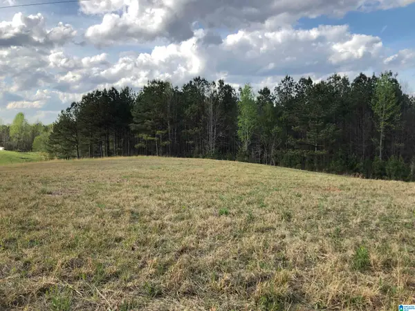 000 COUNTY ROAD 835, Clanton, AL 35046