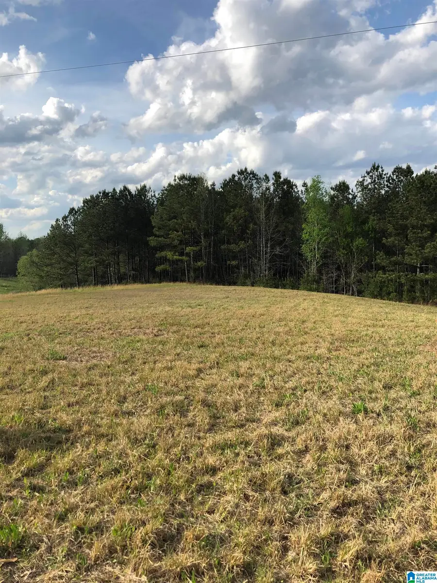 000 COUNTY ROAD 835, Clanton, AL 35046 - Image #2