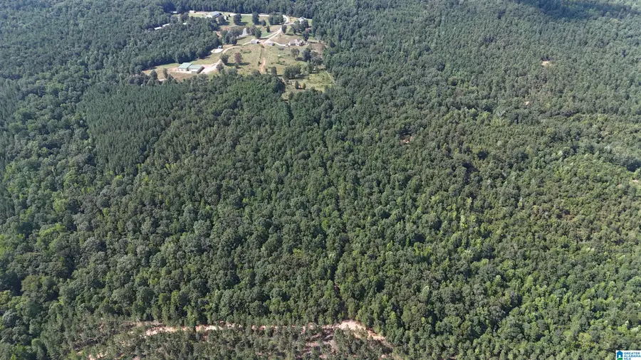 391 COUNTY ROAD 1028, Clanton, AL 35046 - Image #2