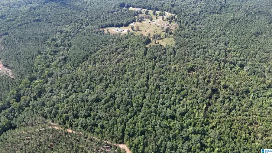 391 COUNTY ROAD 1028, Clanton, AL 35046 - Image #3