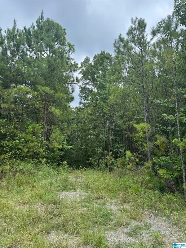 SHORE SIDE LANE, Sylacauga, AL 35151