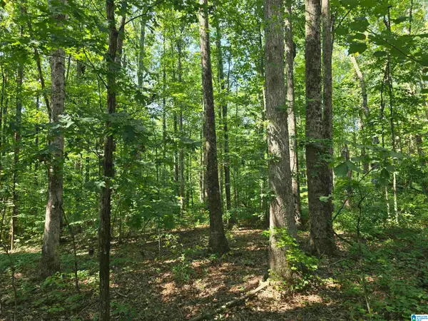 0000 COUNTY ROAD 31, Lineville, AL 36266