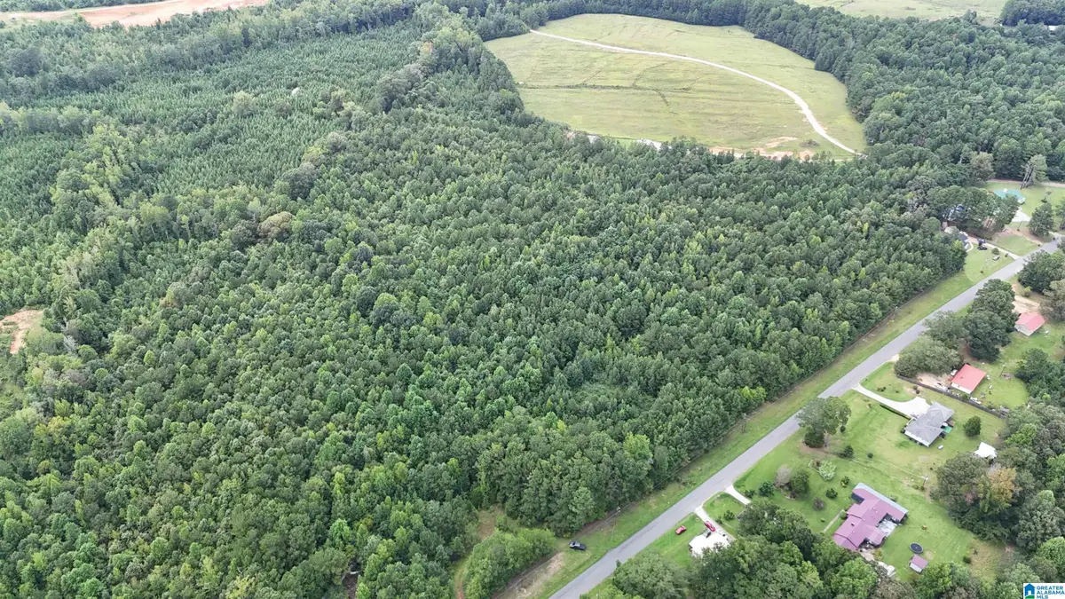 3000 COUNTRY CLUB ROAD, Roanoke, AL 36274 - Image #1