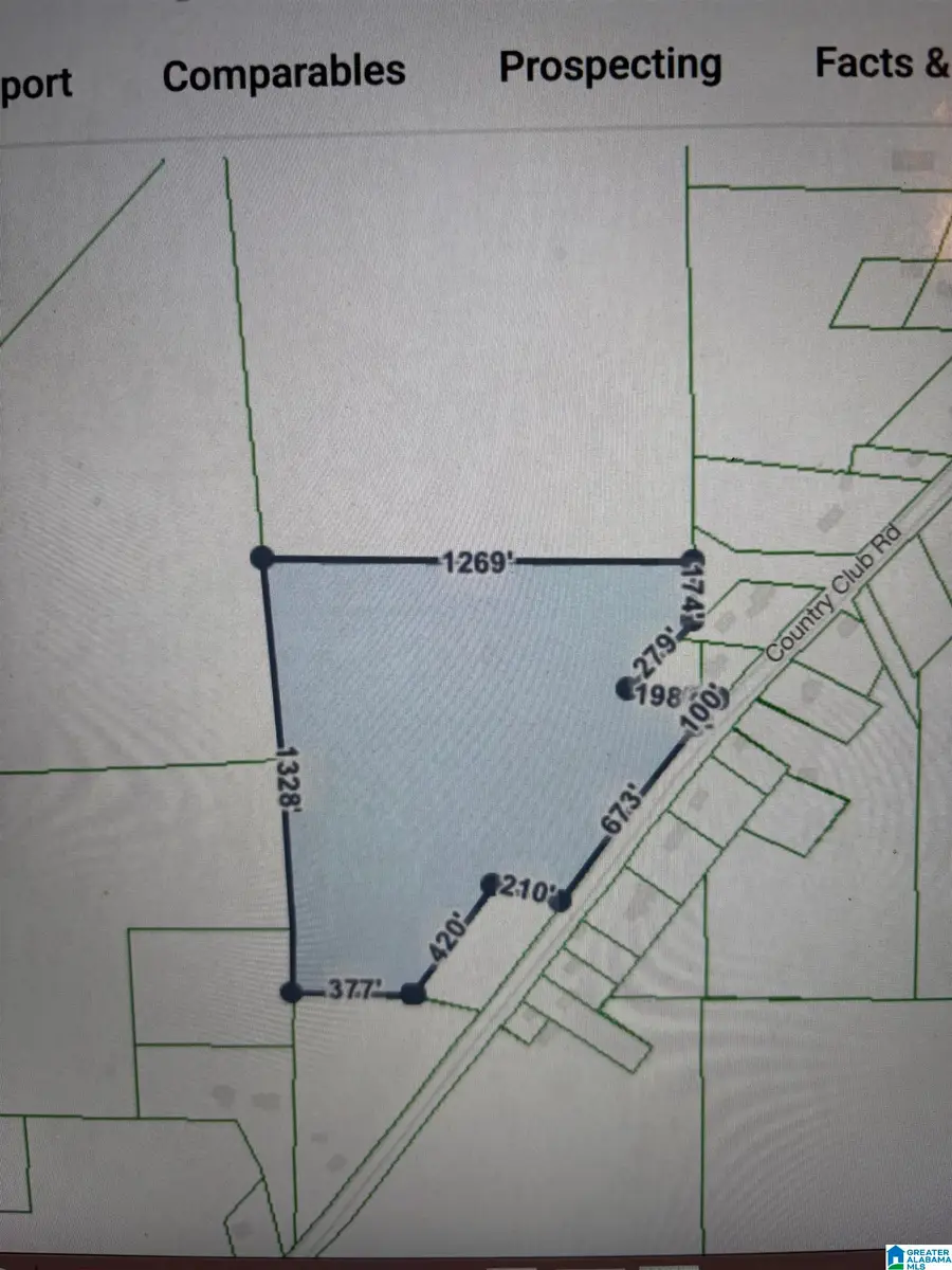 3000 COUNTRY CLUB ROAD, Roanoke, AL 36274 - Image #2