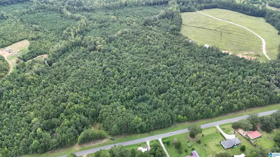 3000 COUNTRY CLUB ROAD, Roanoke, AL 36274 - Image #3