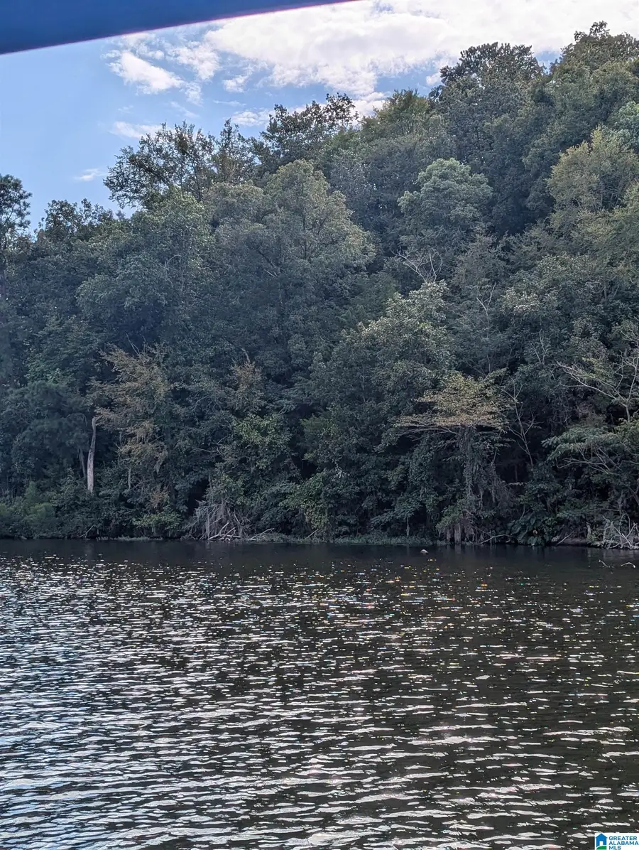 0 COUNTY ROAD 834, Clanton, AL 35046 - Image #2