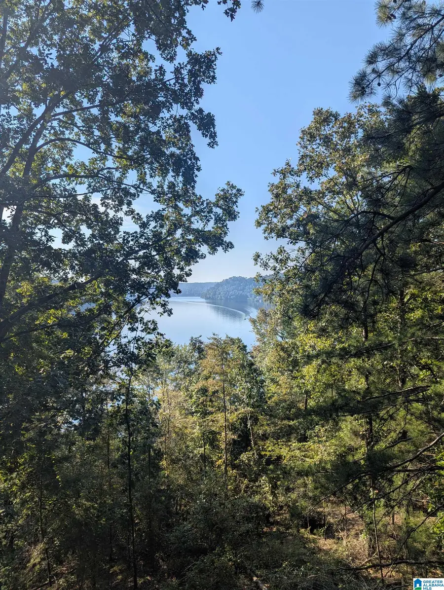 0 COUNTY ROAD 834, Clanton, AL 35046 - Image #3