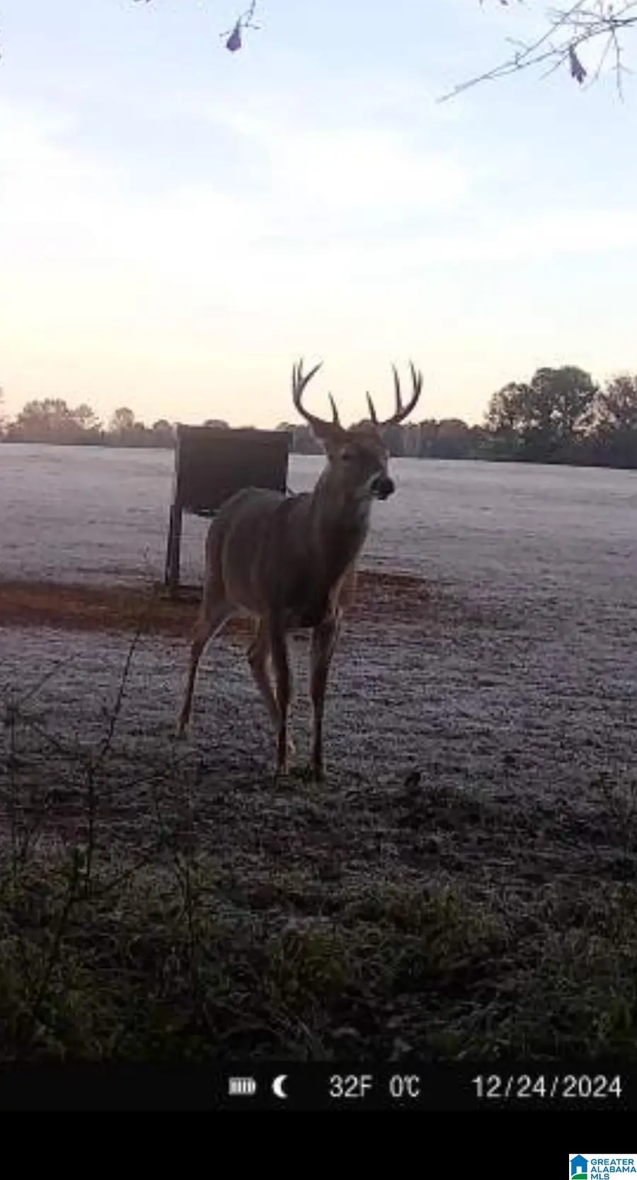 00 COUNTY ROAD 2, Fayette, AL 35555 - Image #3