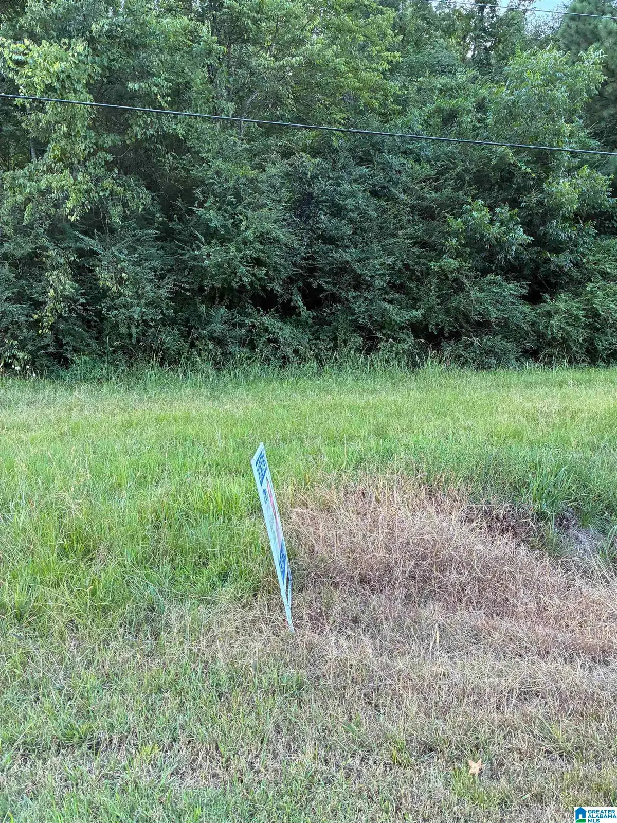 0 MAIN STREET, Altoona, AL 35952 - Image #1