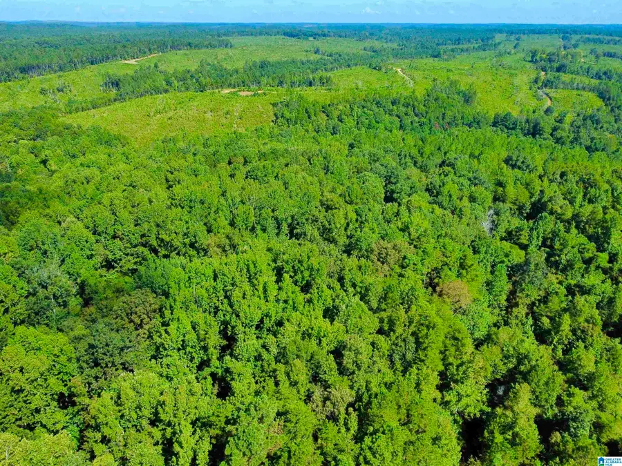 11373 EVANSTOWN ROAD, Berry, AL 35546 - Image #3