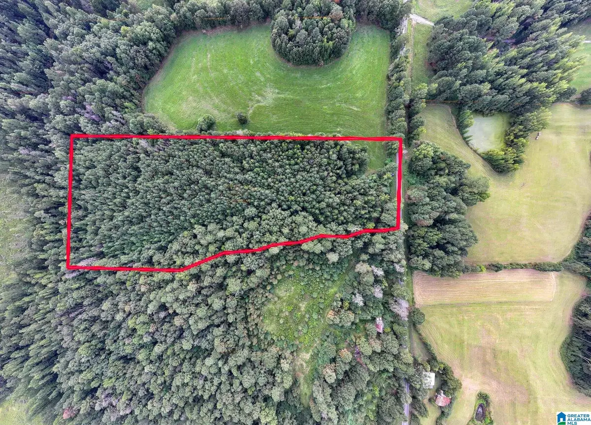 0 COUNTY ROAD 32, Double Springs, AL 35553 - Image #1