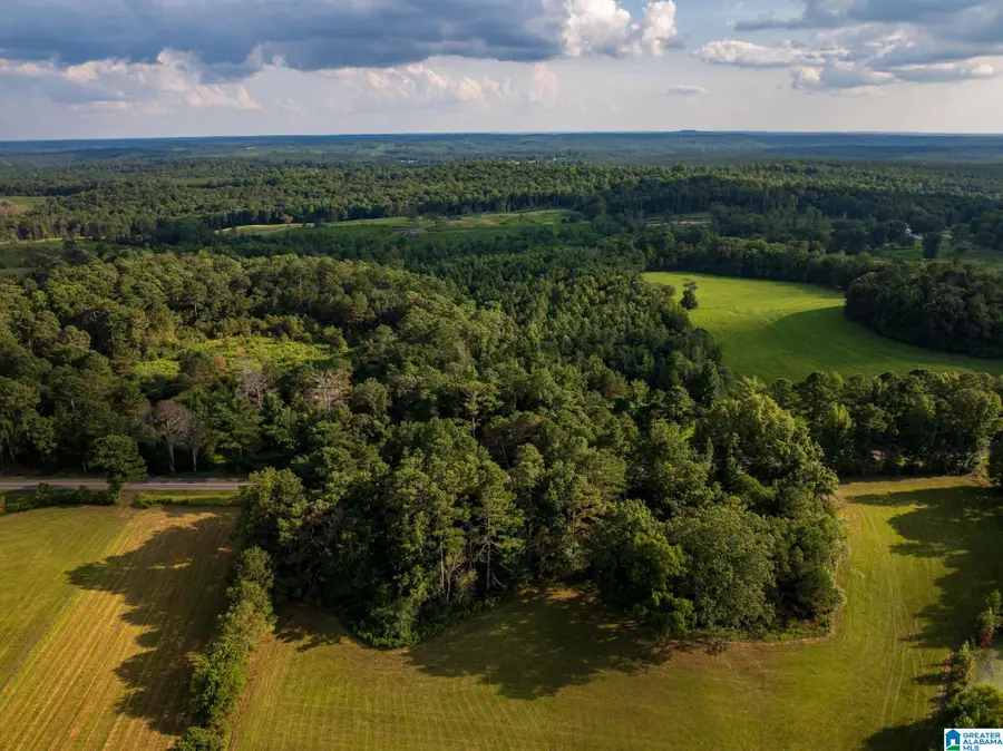 0 COUNTY ROAD 32, Double Springs, AL 35553 - Image #2