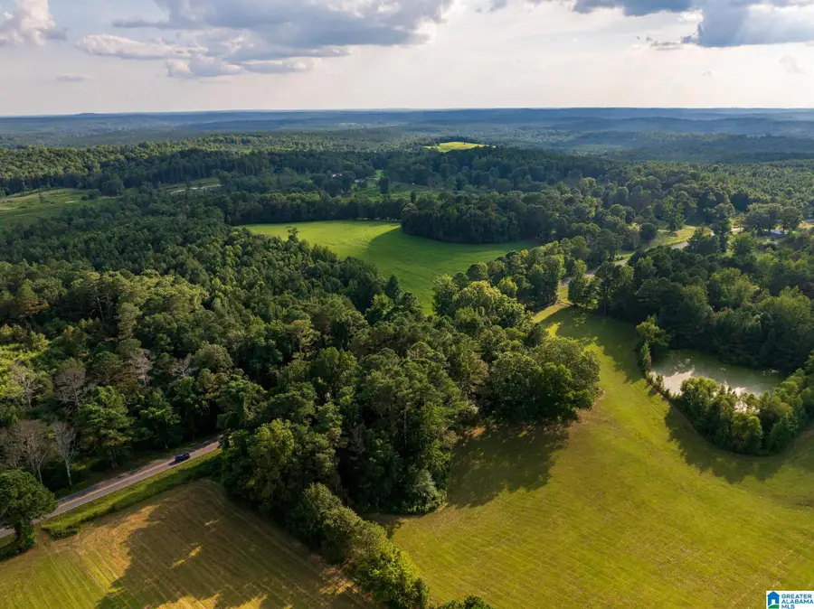 0 COUNTY ROAD 32, Double Springs, AL 35553 - Image #3