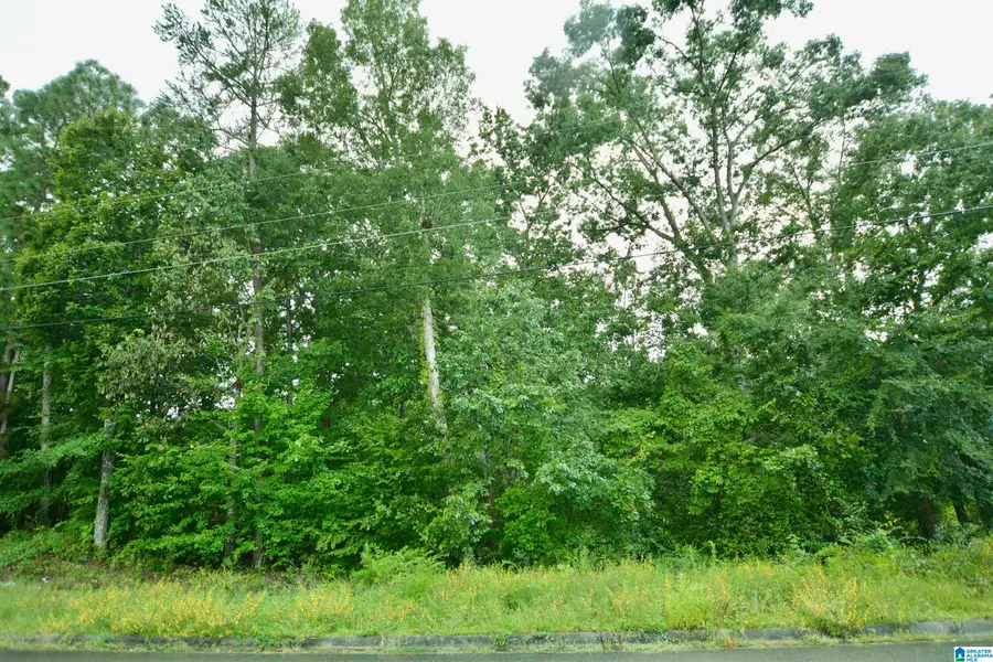 6101 FAWNHURST DRIVE, Anniston, AL 36206 - Image #2