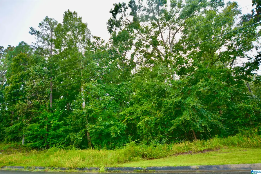 6101 FAWNHURST DRIVE, Anniston, AL 36206 - Image #3