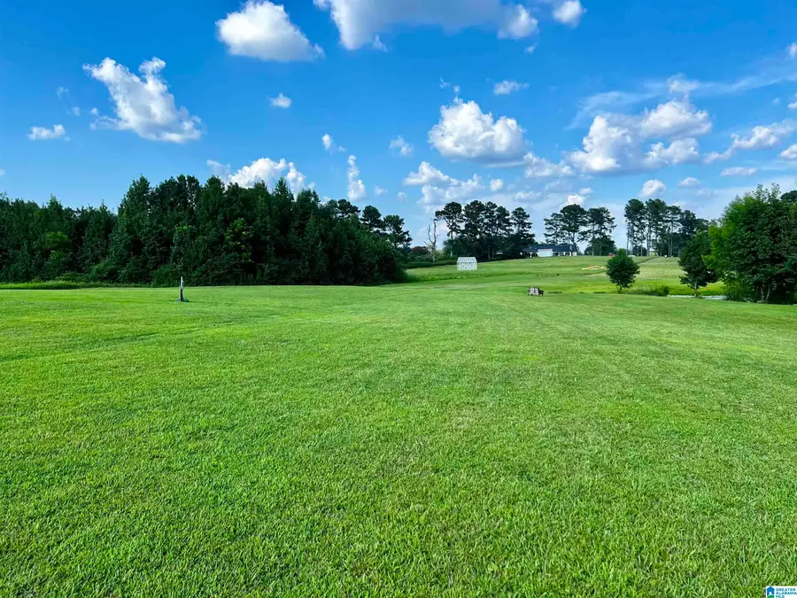 0 BAILEY ROAD, Baileyton, AL 35019 - Image #3