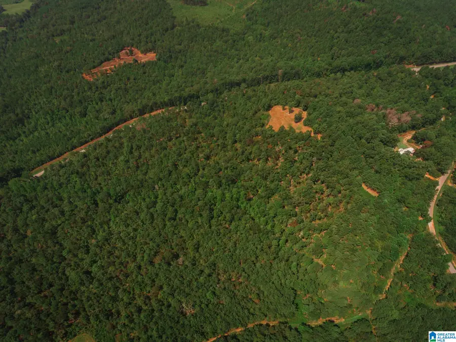 200 TABLEE LANE, Ashland, AL 36251 - Image #2