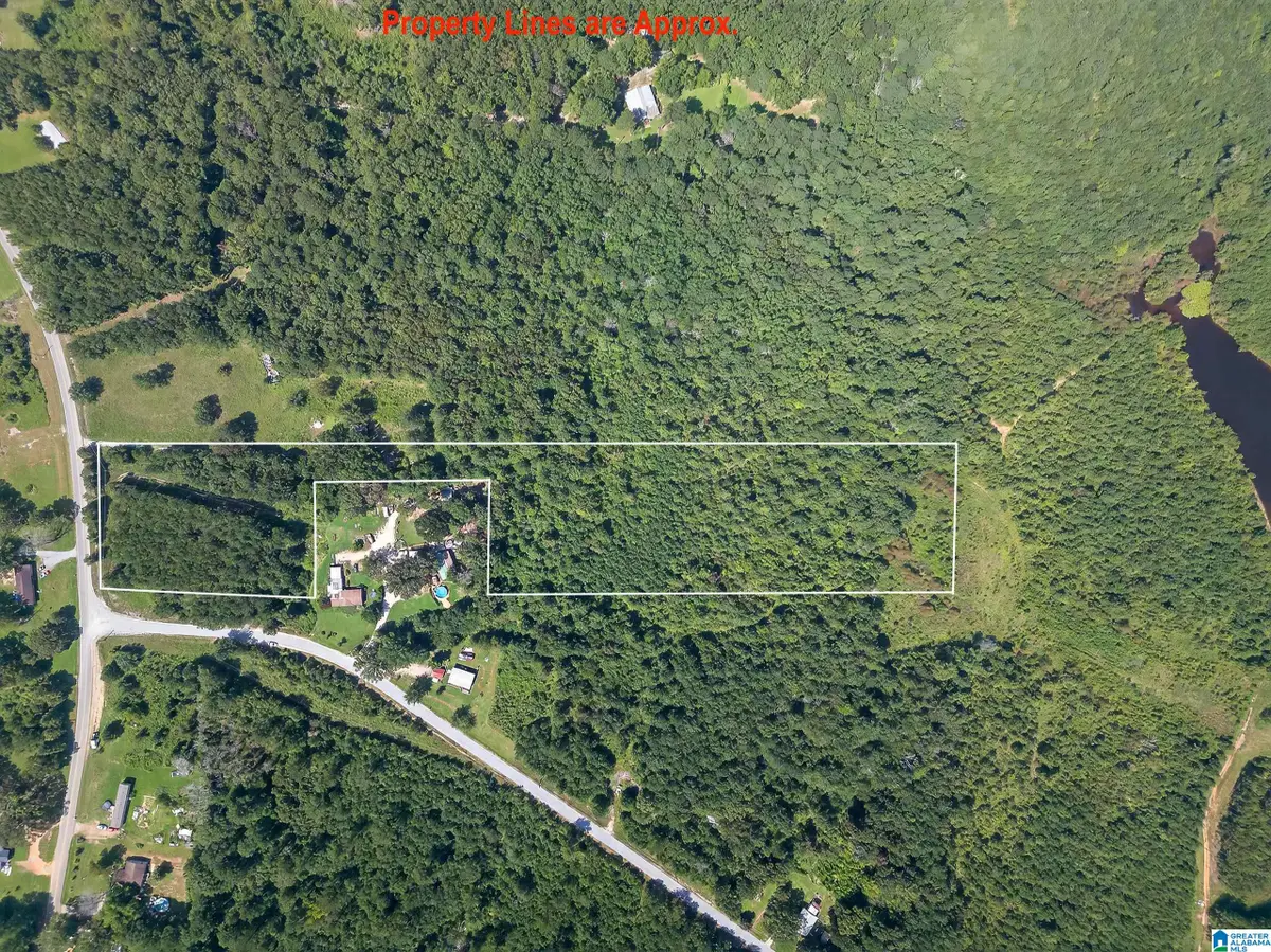 368 JONES CHAPEL ROAD, Piedmont, AL 36272 - Image #1