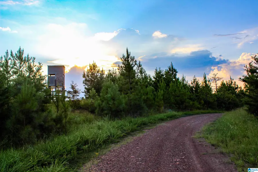 NoBusinessCreek PHILLIPS LANE, Empire, AL 35063 - Image #3