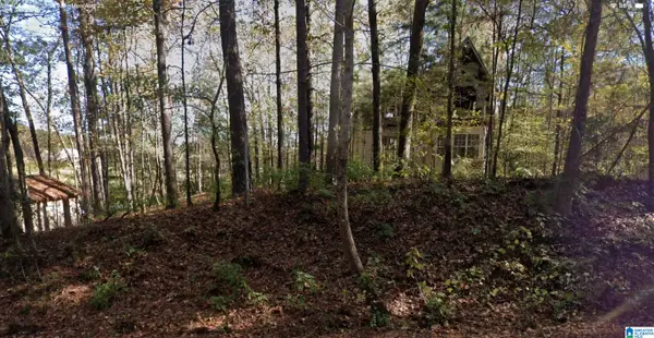 48 HARGIS DRIVE, Chelsea, AL 35043