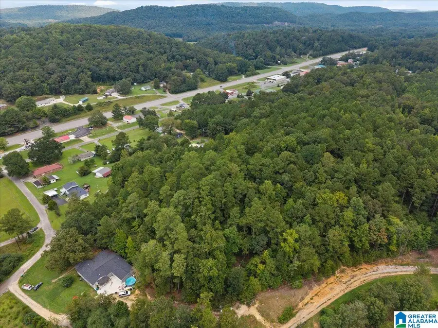 0 CEDAR DRIVE, Allgood, AL 35013 - Image #2