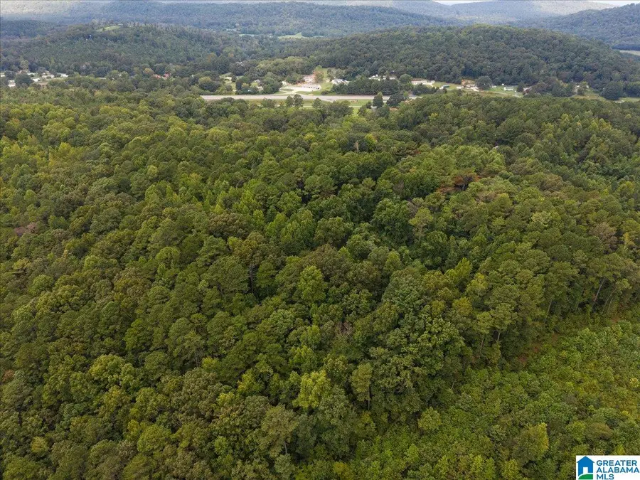 0 CEDAR DRIVE, Allgood, AL 35013 - Image #3