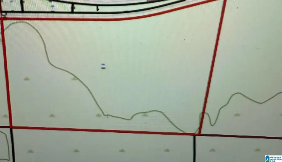 0 SW FERNBANK ROAD, Millport, AL 35576 - Image #2