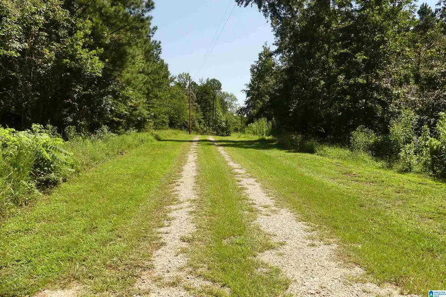 LOT 33 RIVER BREEZE, Wedowee, AL 36278 - Image #3