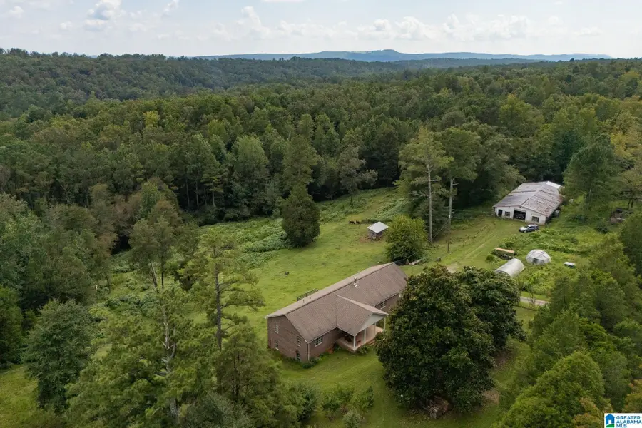 367 KANASITA DRIVE, Pell City, AL 35128 - Image #3