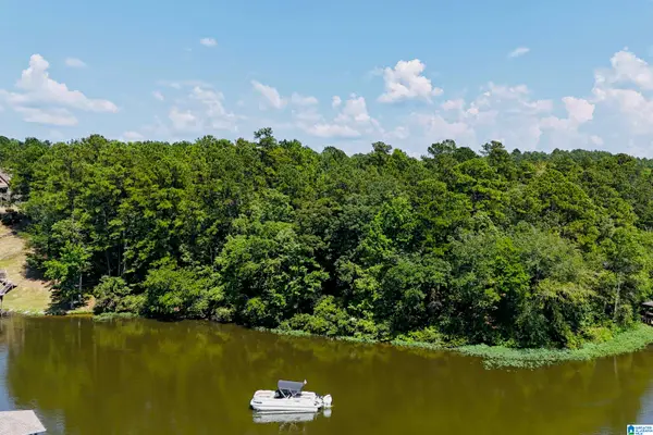 STILLWATERS TRAIL, Sylacauga, AL 35151