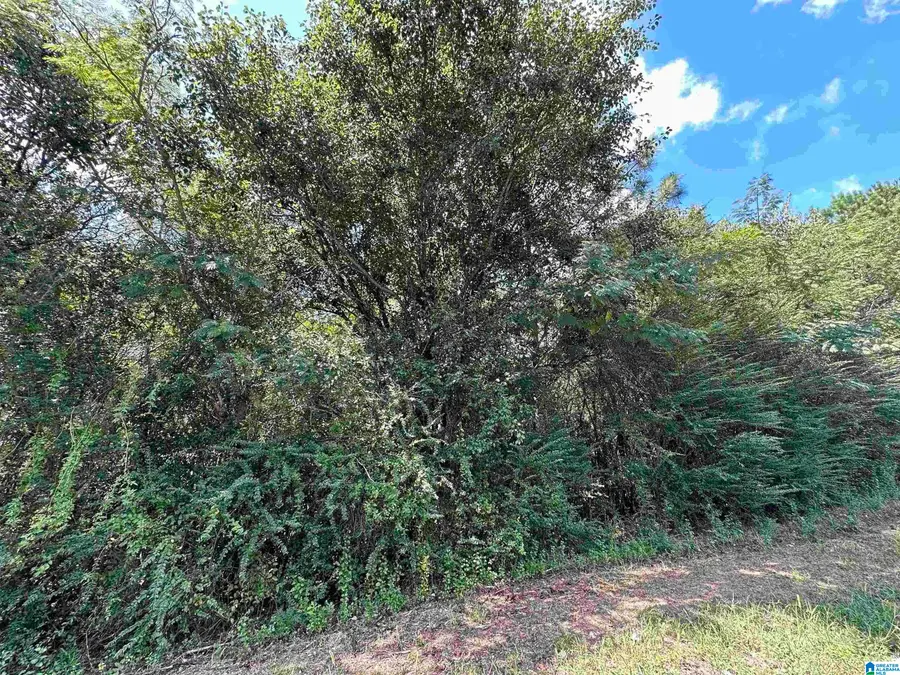 1424 UTICA PLACE, McDonald Chapel, AL 35224 - Image #2