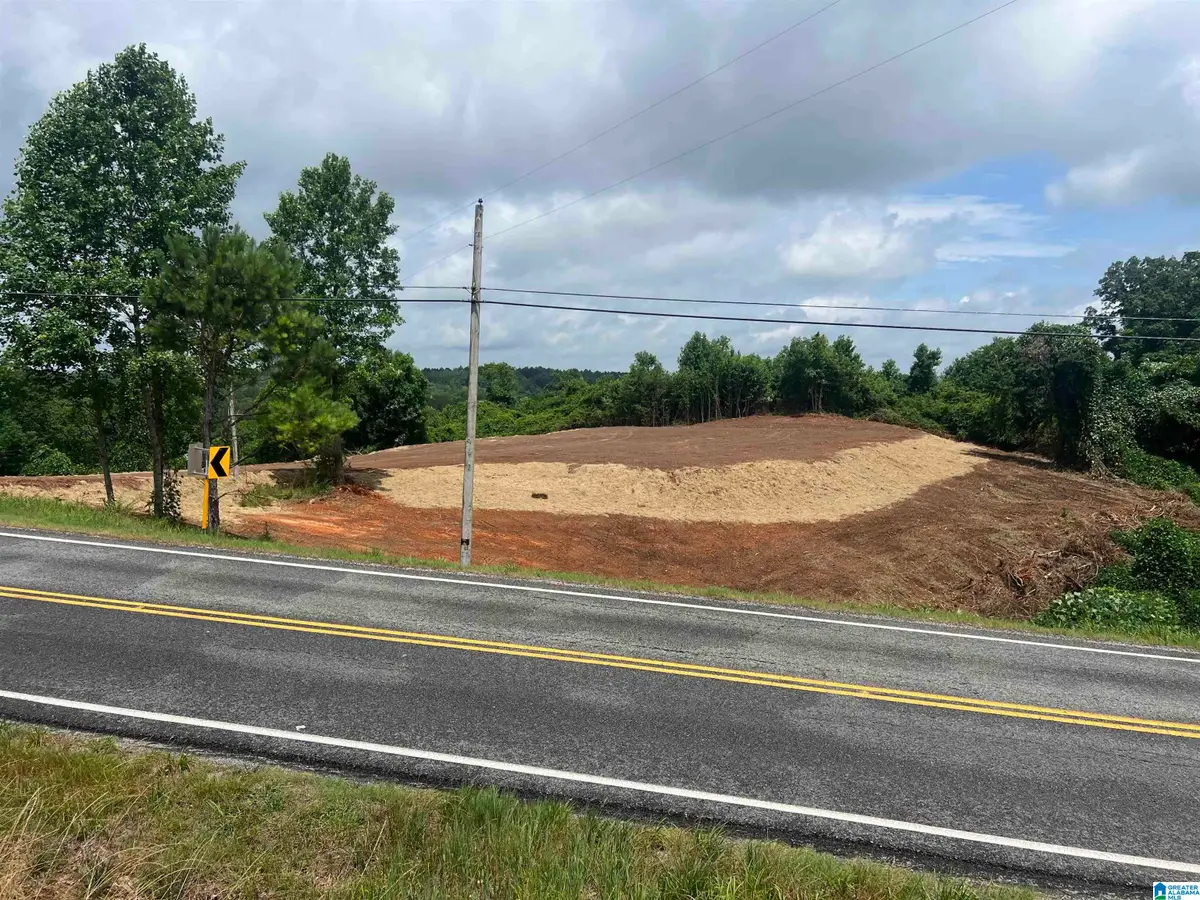 0 HIGHWAY 48, Wedowee, AL 36278 - Image #1