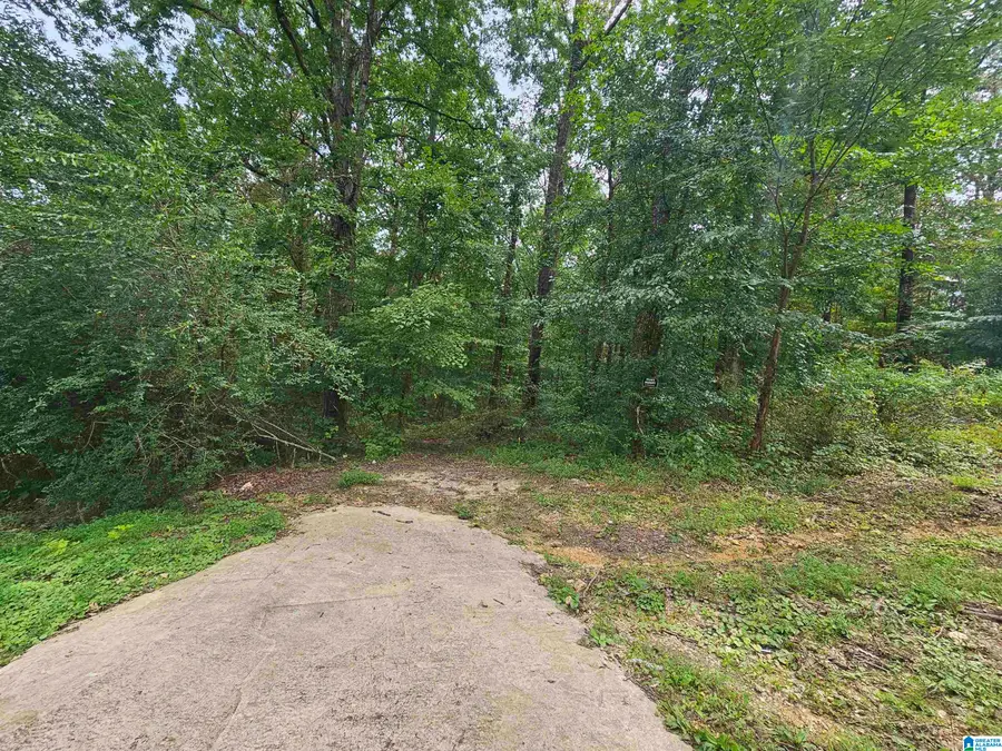 0 SHIRLEY DRIVE, Moody, AL 35004 - Image #2