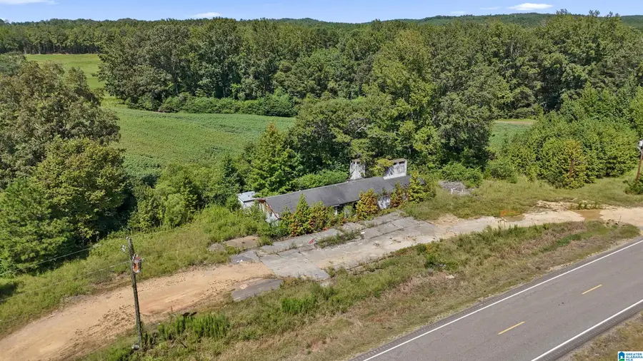 20200 AL HIGHWAY 171, Fayette, AL 35555 - Image #2