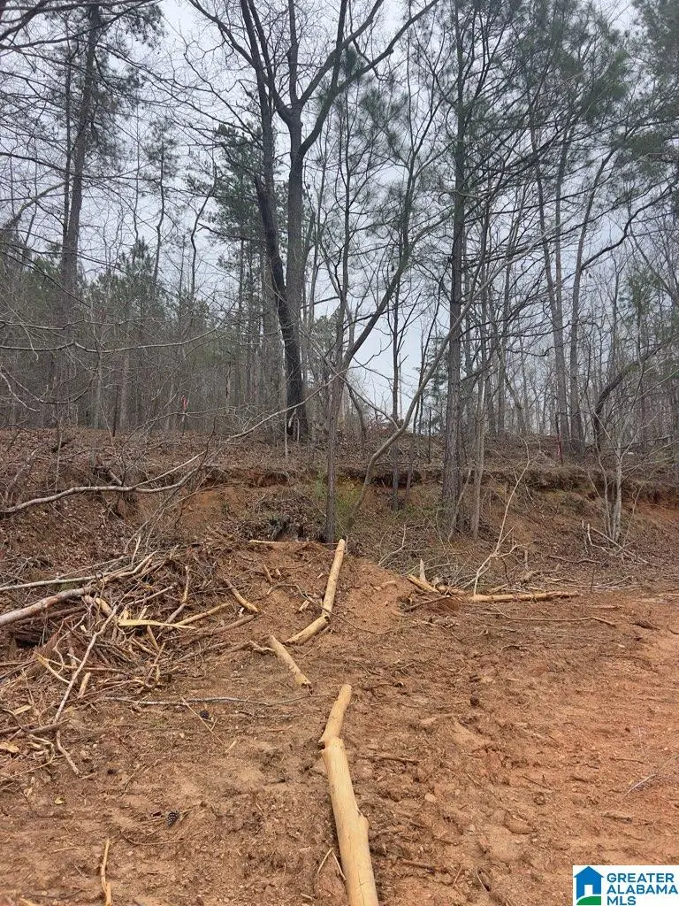 0 RIDLEY UPPER ROAD, Heflin, AL 36264 - Image #1