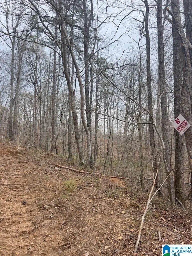 0 RIDLEY UPPER ROAD, Heflin, AL 36264 - Image #2