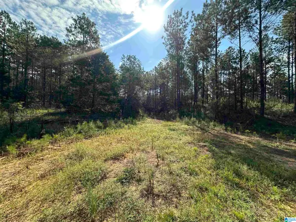 0 COUNTY ROAD 336, Maplesville, AL 36750