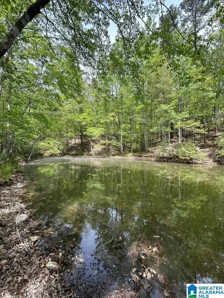 Lots 123 RED CEDAR DRIVE, Wedowee, AL 36278 - Image #3
