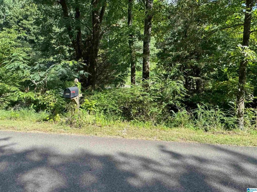 5615 MILES SPRING ROAD, Pinson, AL 35126 - Image #3