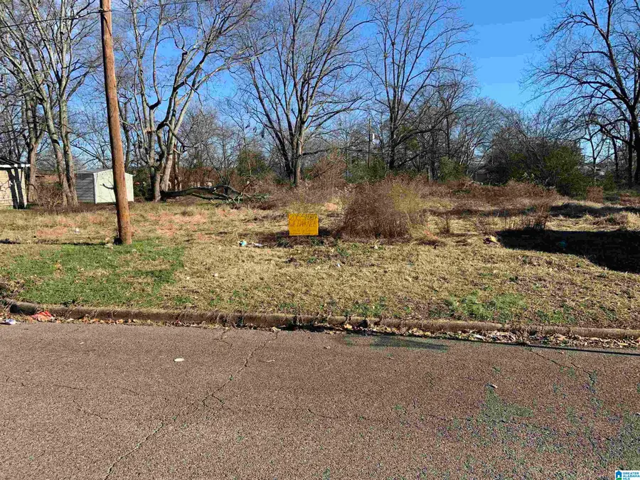 2913 11TH AVENUE N, Bessemer, AL 35020 - Image #2