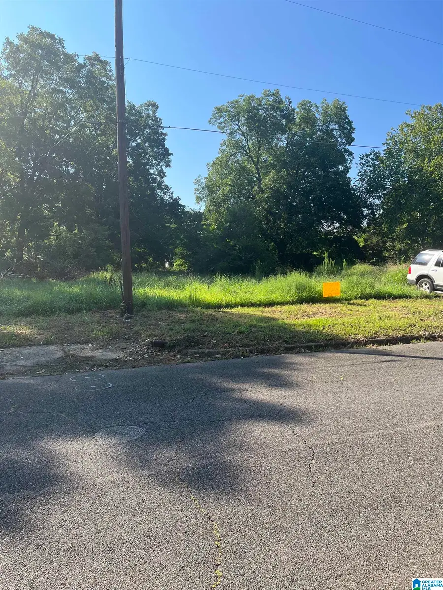 2913 11TH AVENUE N, Bessemer, AL 35020 - Image #3