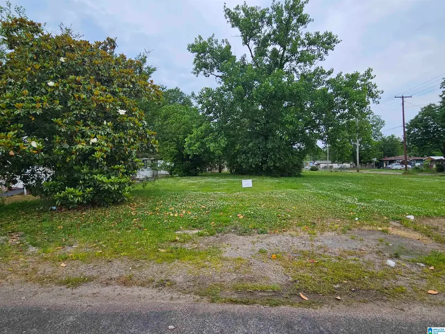 96 ALABAMA AVENUE, Bessemer, AL 35020 - Image #2