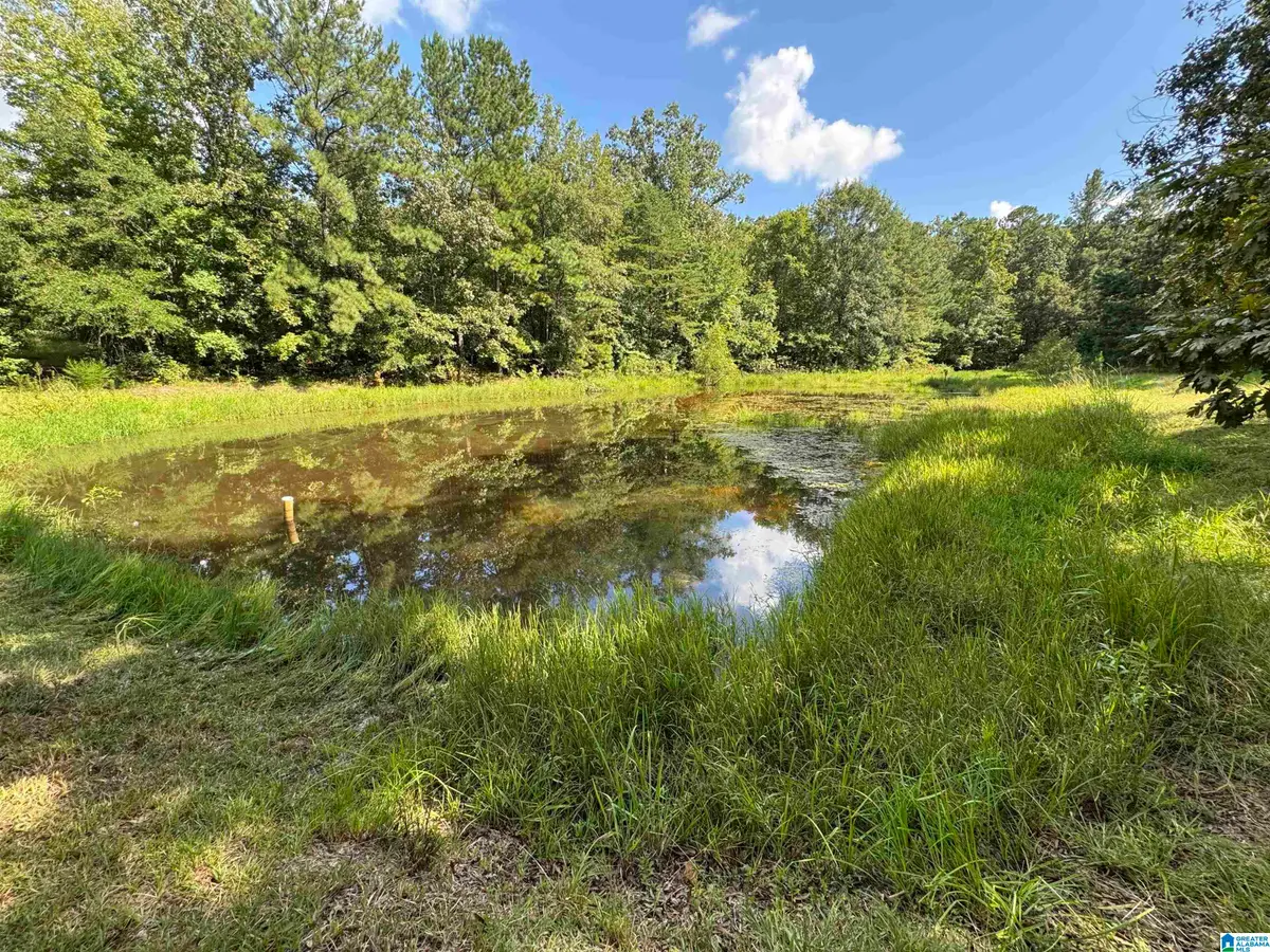 20394 HIGHWAY 55, Sterrett, AL 35147 - Image #1