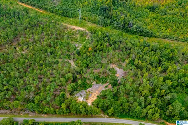 80.73 acres COUNTY ROAD 99, Wedowee, AL 36278