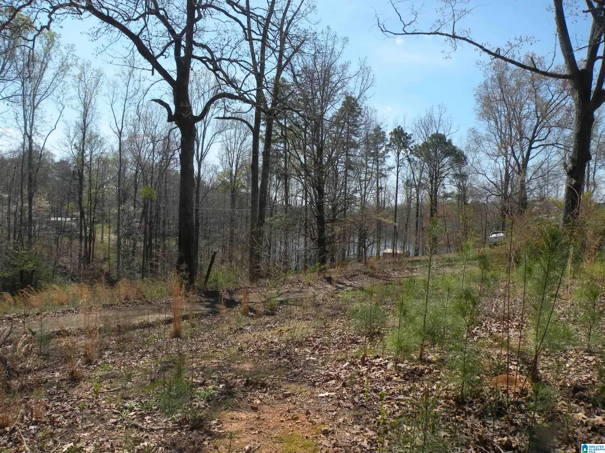 152 HONEYSUCKLE LANE, Sylacauga, AL 35150 - #1