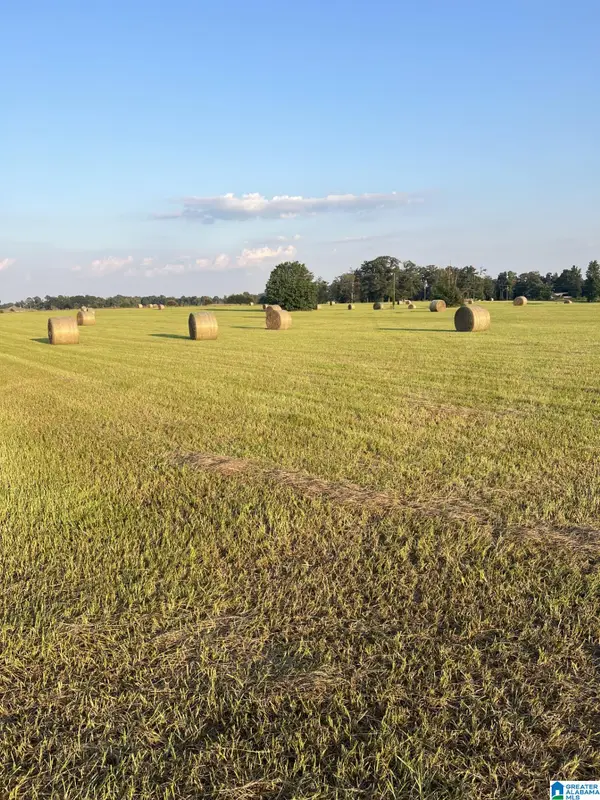 0 COUNTY ROAD 13, Clanton, AL 35045